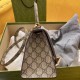 2022SS GUCCI Gucci Ladies Bag 2022SS GUCCI Gucci Ladies Bag