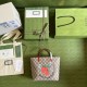 Outstanding brand print 2022SS GUCCI Gucci ladies bag Outstanding brand print 2022SS GUCCI Gucci ladies bag