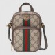 New 2022SS GUCCI Gucci ladies bag that has been featured in many magazines New 2022SS GUCCI Gucci ladies bag that has been featured in many magazines