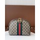 GUCCI Gucci shoulder bag 2022SS outstanding attractive item GUCCI Gucci shoulder bag 2022SS outstanding attractive item