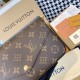 Favorite latest collection 2022SS LOUIS VUITTON ladies bag Favorite latest collection 2022SS LOUIS VUITTON ladies bag