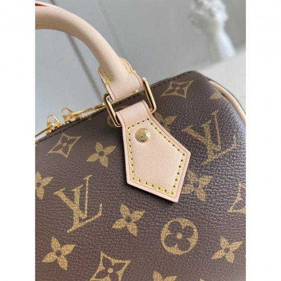 The latest brand new is hot 2022SS LOUIS VUITTON ladies bag The latest brand new is hot 2022SS LOUIS VUITTON ladies bag