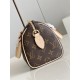 The latest brand new is hot 2022SS LOUIS VUITTON ladies bag The latest brand new is hot 2022SS LOUIS VUITTON ladies bag