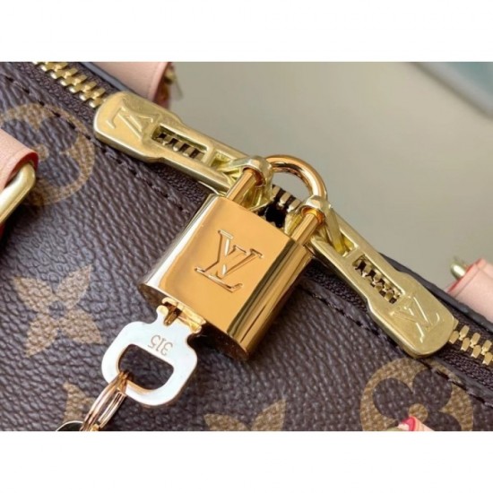 Brand 2022SS LOUIS VUITTON ladies bag continues this season Brand 2022SS LOUIS VUITTON ladies bag continues this season