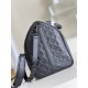 New items continue to be very popular 2022SS LOUIS VUITTON Ladies Bag New items continue to be very popular 2022SS LOUIS VUITTON Ladies Bag