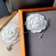 2022SS CHANEL Shining luxury necklace 2022SS CHANEL Shining luxury necklace