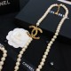 2022SS CHANEL CHANEL Necklace is getting more attention now 2022SS CHANEL CHANEL Necklace is getting more attention now