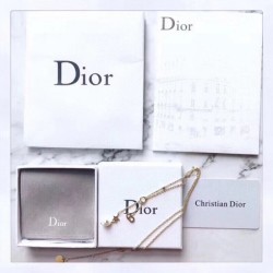 2022SS DIOR Dior Spring / Summer latest work Necklace from overseas