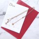 2022SS DIOR Dior Spring / Summer latest work Necklace from overseas 2022SS DIOR Dior Spring / Summer latest work Necklace from overseas