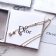 2022SS DIOR Dior Spring / Summer latest work Necklace from overseas 2022SS DIOR Dior Spring / Summer latest work Necklace from overseas