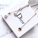 2022SS DIOR Dior Spring / Summer latest work Necklace from overseas 2022SS DIOR Dior Spring / Summer latest work Necklace from overseas