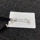 2022SS DIOR Dior Ranking No. 1 Necklace 2022SS DIOR Dior Ranking No. 1 Necklace