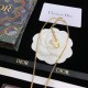 2022SS DIOR Dior NEW! Domestic sold out necklace 2022SS DIOR Dior NEW! Domestic sold out necklace