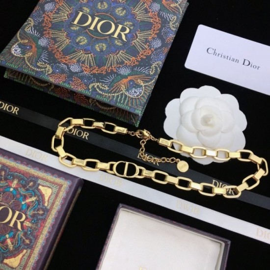 2022SS DIOR Dior dare to see through style necklace 2022SS DIOR Dior dare to see through style necklace