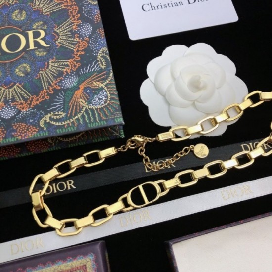 2022SS DIOR Dior dare to see through style necklace 2022SS DIOR Dior dare to see through style necklace