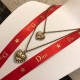 2022SS DIOR Dior stupid selling necklace 2022SS DIOR Dior stupid selling necklace