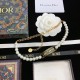 2022SS DIOR Dior hottest first come, first served necklace 2022SS DIOR Dior hottest first come, first served necklace