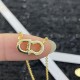 Trendy style! DIOR Dior 2022AW necklace Trendy style! DIOR Dior 2022AW necklace