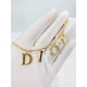 I want to buy more this year! DIOR Dior 2022AW necklace I want to buy more this year! DIOR Dior 2022AW necklace