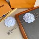 Latest item LOUIS VUITTON Louis Vuitton 2022AW necklace Latest item LOUIS VUITTON Louis Vuitton 2022AW necklace