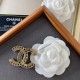 CHANEL [2022 Spring / Summer] Latest Collection Brooch