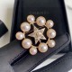 CHANEL 2022 fashionable beauty brooch CHANEL 2022 fashionable beauty brooch