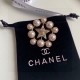 CHANEL 2022 fashionable beauty brooch CHANEL 2022 fashionable beauty brooch