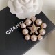 CHANEL 2022 fashionable beauty brooch CHANEL 2022 fashionable beauty brooch