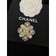 CHANEL Spring / Summer 22 items cheap brooches CHANEL Spring / Summer 22 items cheap brooches