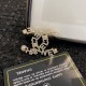 CHANEL 2022 Spring / Summer Trend Brooch CHANEL 2022 Spring / Summer Trend Brooch