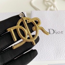 DIOR Dior popular model 2022 new summer brooch