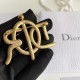 DIOR Dior popular model 2022 new summer brooch DIOR Dior popular model 2022 new summer brooch