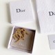 DIOR Dior popular model 2022 new summer brooch DIOR Dior popular model 2022 new summer brooch