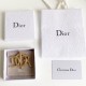 DIOR Dior popular model 2022 new summer brooch DIOR Dior popular model 2022 new summer brooch