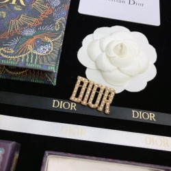 DIOR Dior 2022 Spring / Summer popular model brooch