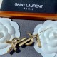 YSL Yves Saint Laurent This year's brooch is sure to be a big success YSL Yves Saint Laurent This year's brooch is sure to be a big success