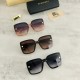 Sunglasses multicolor selectable 2022SS Popular topic BURBERRY Burberry Sunglasses multicolor selectable 2022SS Popular topic BURBERRY Burberry