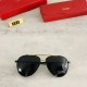 Sunglasses multicolor selectable 2022SS Spring latest work CARTIER Cartier Sunglasses multicolor selectable 2022SS Spring latest work CARTIER Cartier