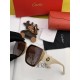 Sunglasses multicolor selectable 2022SS bestseller CARTIER Cartier Sunglasses multicolor selectable 2022SS bestseller CARTIER Cartier