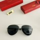 Sunglasses multicolor selectable 2022SS Cheap for a limited time CARTIER Cartier Sunglasses multicolor selectable 2022SS Cheap for a limited time CARTIER Cartier