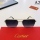CARTIER Cartier sunglasses multicolor selectable pre-order item CARTIER Cartier sunglasses multicolor selectable pre-order item