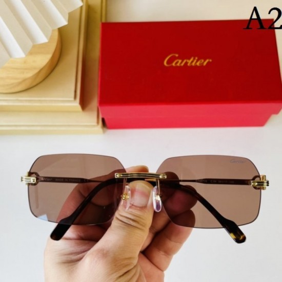 CARTIER Cartier sunglasses multicolor selectable items sold out immediately CARTIER Cartier sunglasses multicolor selectable items sold out immediately