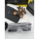 DIOR Dior sunglasses multicolor selectable Easy to balance DIOR Dior sunglasses multicolor selectable Easy to balance