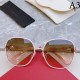 FERRAGAMO Salvatore Ferragamo Sunglasses Multicolor selectable Limited edition FERRAGAMO Salvatore Ferragamo Sunglasses Multicolor selectable Limited edition