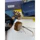 Sunglasses multicolor selectable 2022SS Classic style GUCCI Gucci Sunglasses multicolor selectable 2022SS Classic style GUCCI Gucci