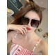MIU MIU Sunglasses Multicolor selectable New this summer MIU MIU Sunglasses Multicolor selectable New this summer