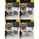 Sunglasses multicolor selectable 2022SS Spring / Summer hottest trend PRADA Prada Sunglasses multicolor selectable 2022SS Spring / Summer hottest trend PRADA Prada