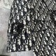 2023FW Only 1 item available! VIP Customer Sale DIOR Trench Coat 2023FW Only 1 item available! VIP Customer Sale DIOR Trench Coat