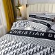 2023FW Latest Ahead Stylish Logo DIOR Bedding 2023FW Latest Ahead Stylish Logo DIOR Bedding