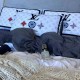 2023FW Online Limited Product LOUIS VUITTON Bedding 2023FW Online Limited Product LOUIS VUITTON Bedding